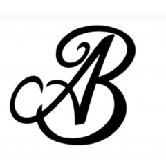 Andry bernal