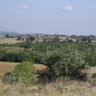 Selçuk ŞAHİN