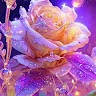الهندسه ياهندسه