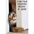 Дядька_71