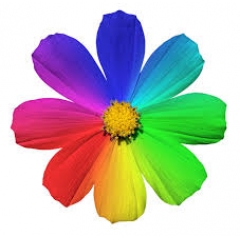 Bloemmeke007