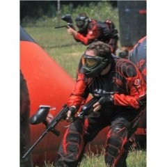 Croppy