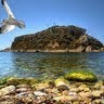Nίκος Οικονομίδης