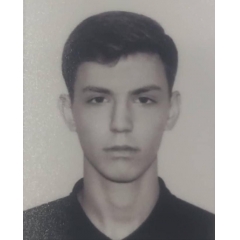 bsv.andrei