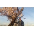 mehdi .kh