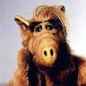 Gordon Shumway