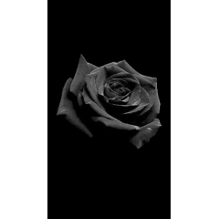 Galuzzi Daniele