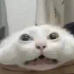 Nono77xd