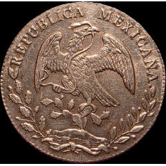 Marco8416