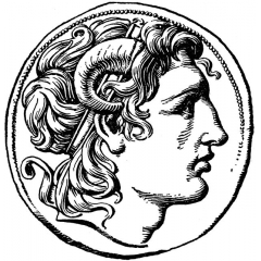 Jeynoz