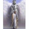 omran bin ali
