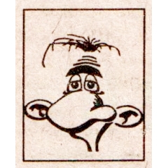 Vindu