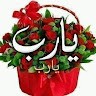 اسكندريه عالميه