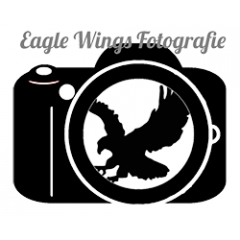 EagleWingsCoins