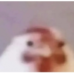 NumisRobert