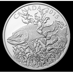 FishCoinMaster
