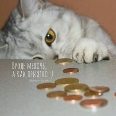 Motya Hari