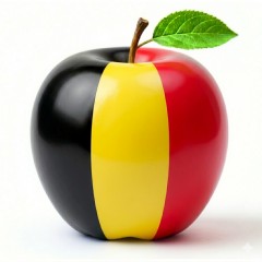 Unhealthy Belgium
