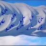 الدنيا دار فناء وابتلاء
