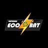 EcoBat