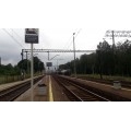paneve
