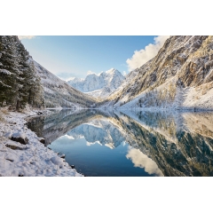 JosefWang