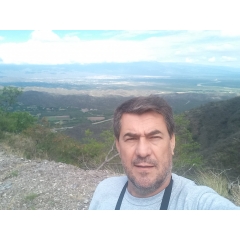 Nestor