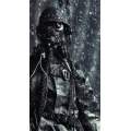 werwolf44