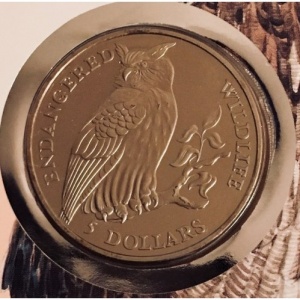 Kuka salas 5 dolāri - Reverse