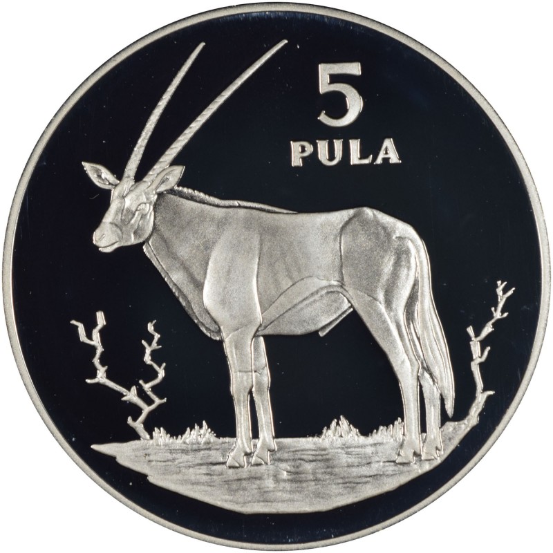 5 pula , Bocvana (Pasana)