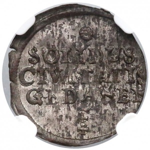 Polen 1 Solid - Reverse