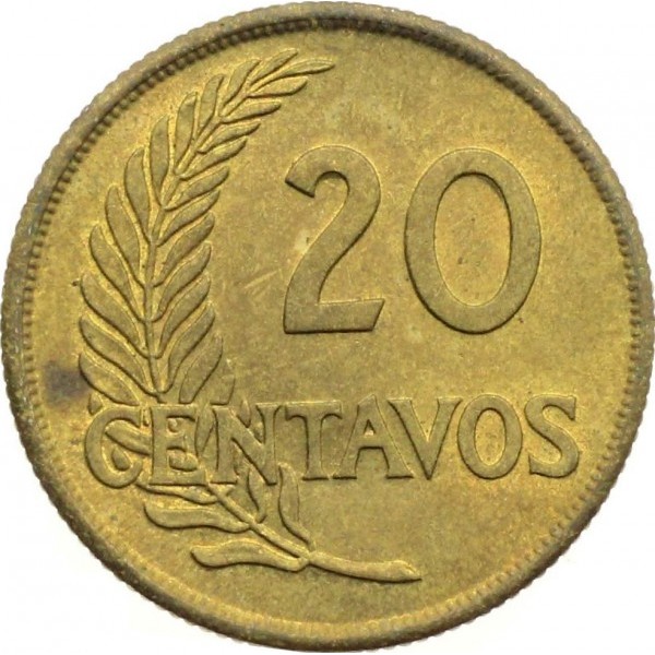 20 سنتاوو , پرو