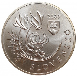 Slowakei  20 Euro - Obverse