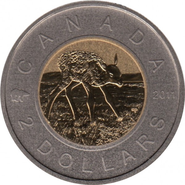2 dollars , Canada (
Natuur - Elandenkalf)