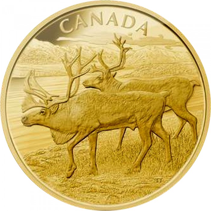 2500 dollars , Canadà (Caribú)