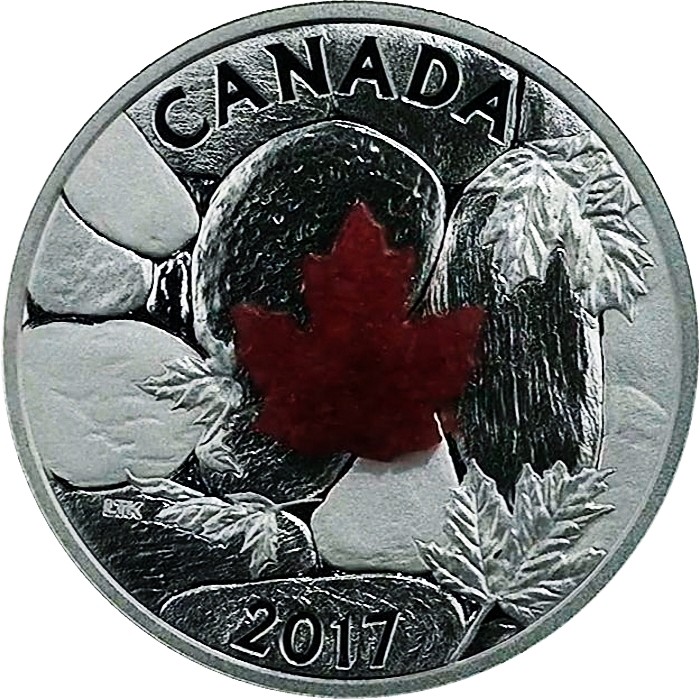 20 dollars , Canada (Majestic Maple Leaves)