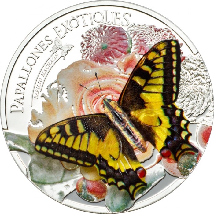 5 دینر , آندورا (Exotic Butterflies 3D - Old World Swallowtail)