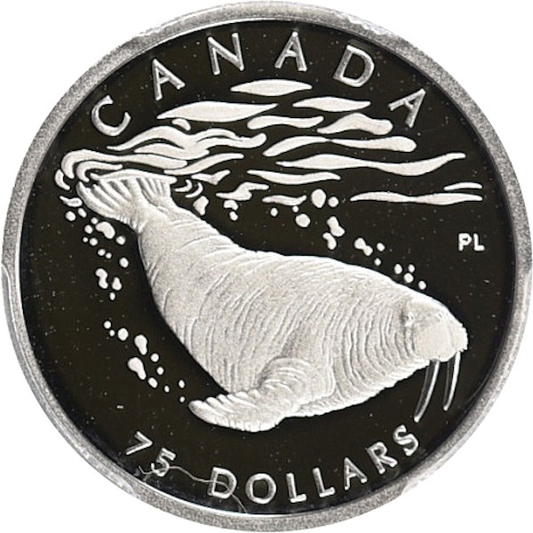 75 doleriai , Kanada (Canadian Wildlife - Walrus)