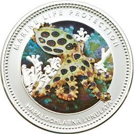 1 doleris , Palau (Greater blue-ringed octopus /Hapalochlaena lunulata/)
