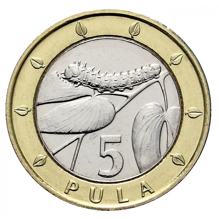 5 пула , Боцвана