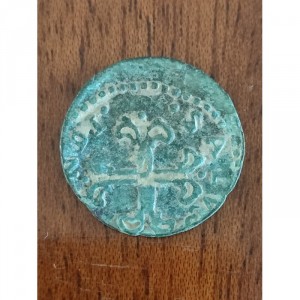Parma 1 Sesino - Reverse