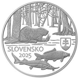 Slowakei  20 Euro - Obverse