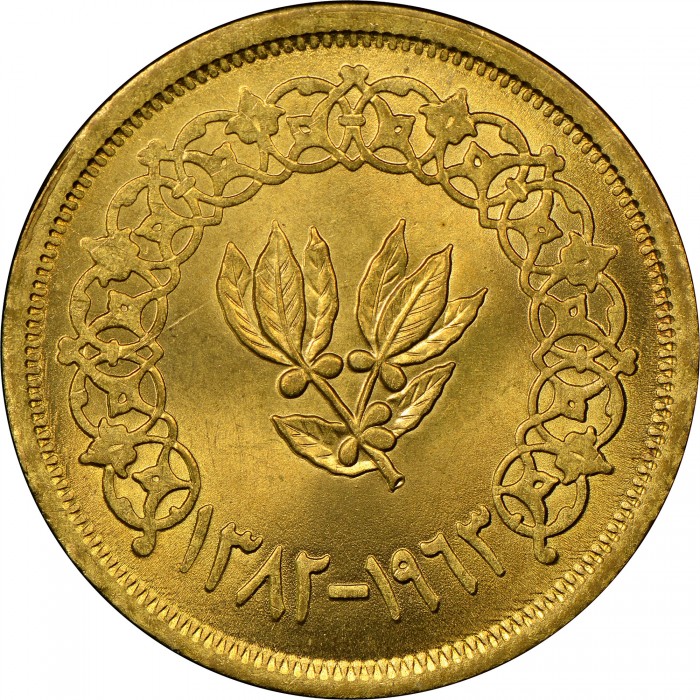 2 букши , Йемен